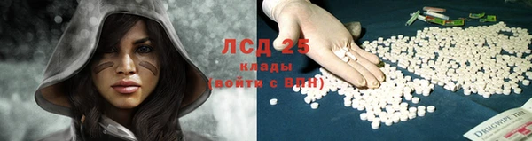 хмурый Алексин