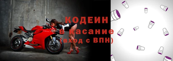 хмурый Алексин