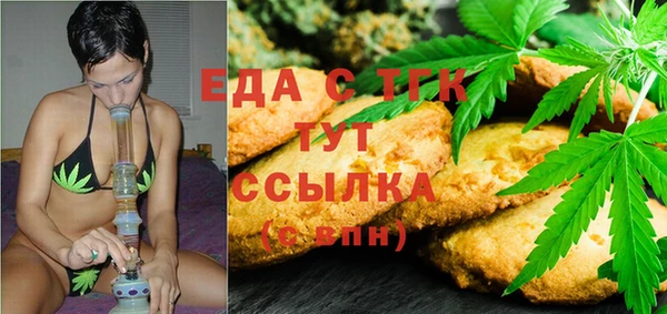 хмурый Алексин