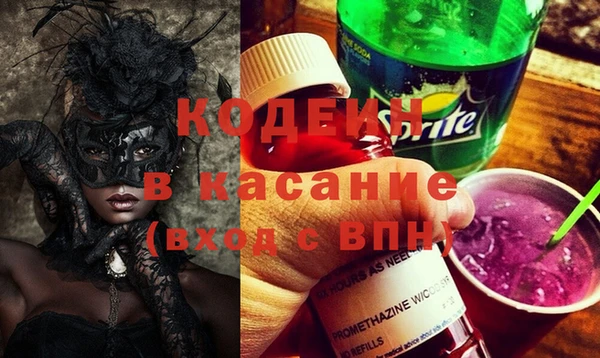 хмурый Алексин