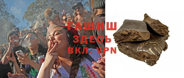 хмурый Алексин