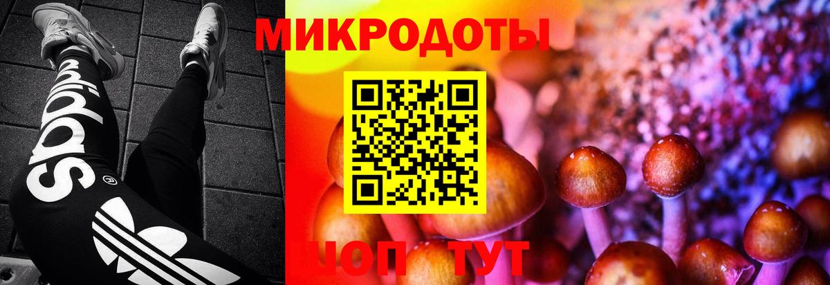 Псилоцибиновые грибы мицелий Симферополь