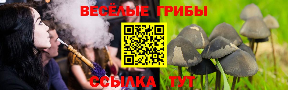 Галлюциногенные грибы прущие грибы  Псилоцибиновые грибы прущие грибы  Симферополь  Вход с VPN 